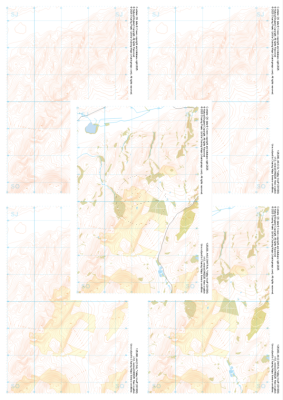 Low resolution image showing the product content.
